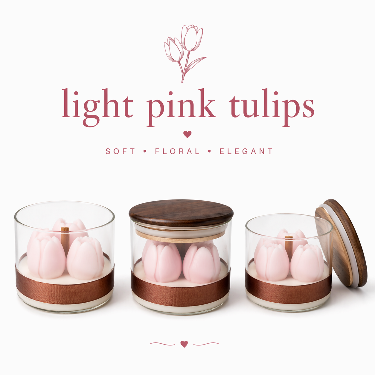 light pink tulips