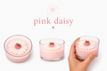 Pink daisy