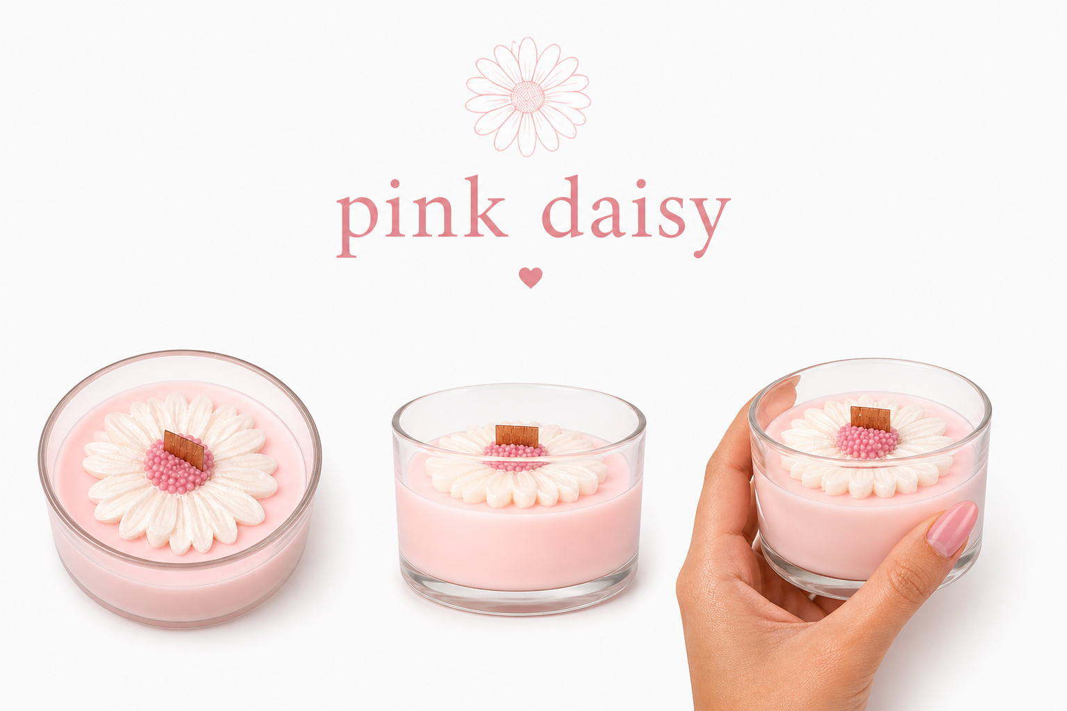 Pink daisy